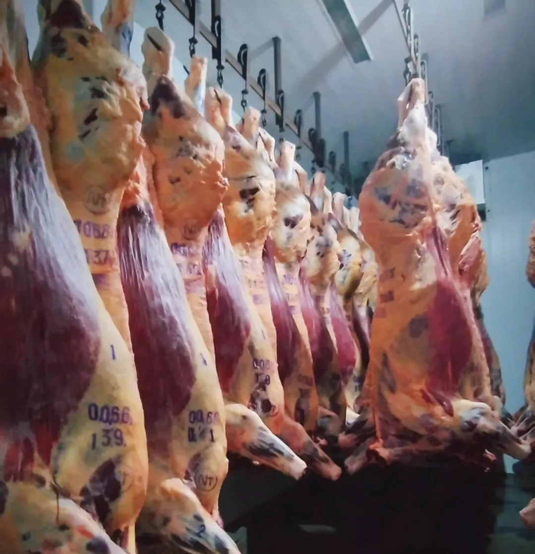 Screenshot_20250807-070011_Gallery