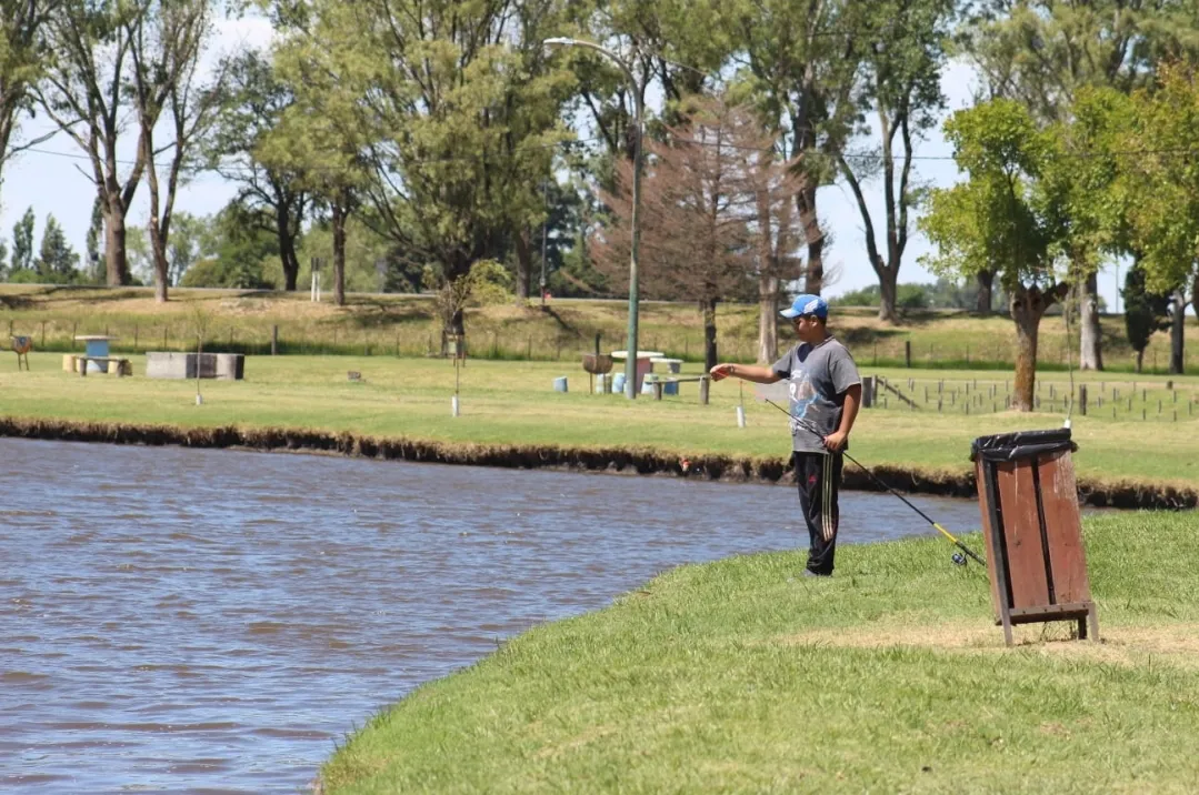 Screenshot_20260119_071820_WhatsApp