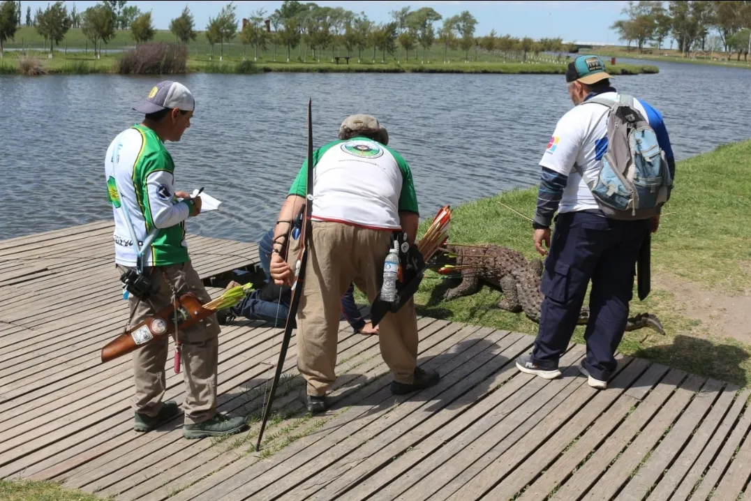 Screenshot_20241014-061825_WhatsApp