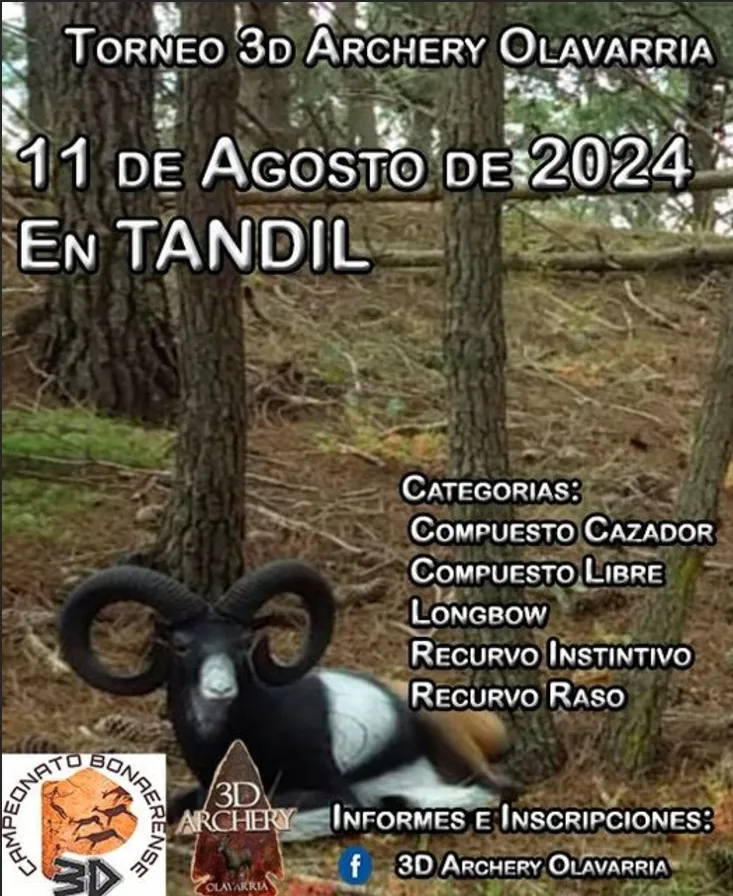 Screenshot_20240811-000743_Microsoft 365 (Office)