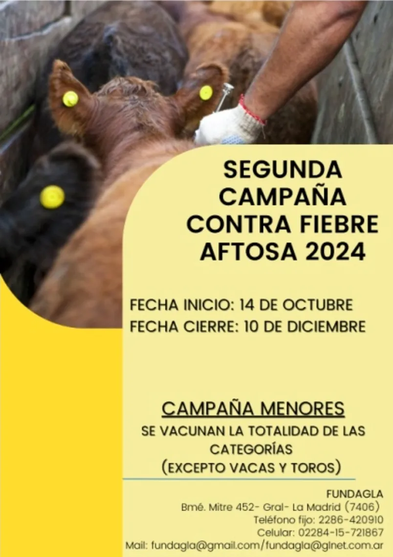 Screenshot_20241015-061725_Microsoft 365 (Office)