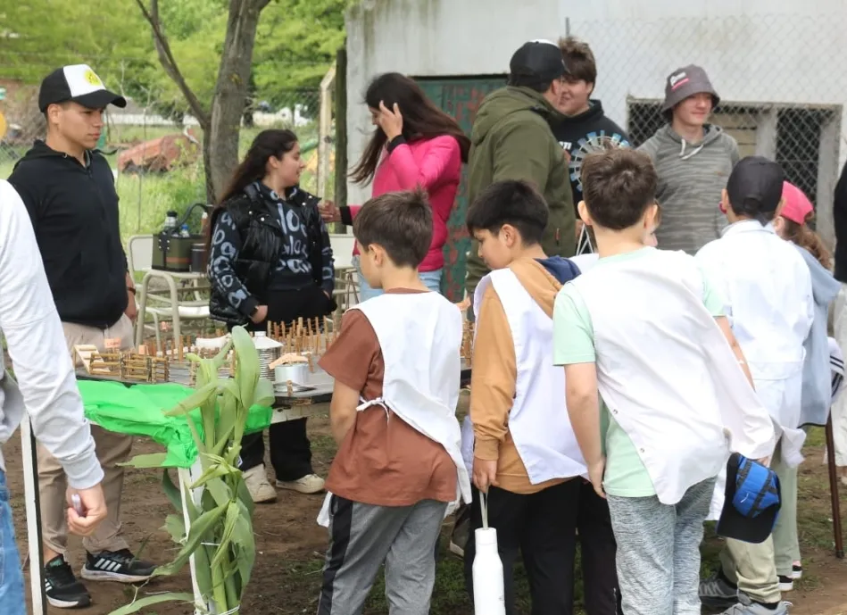 Screenshot_20251031_064644_WhatsApp