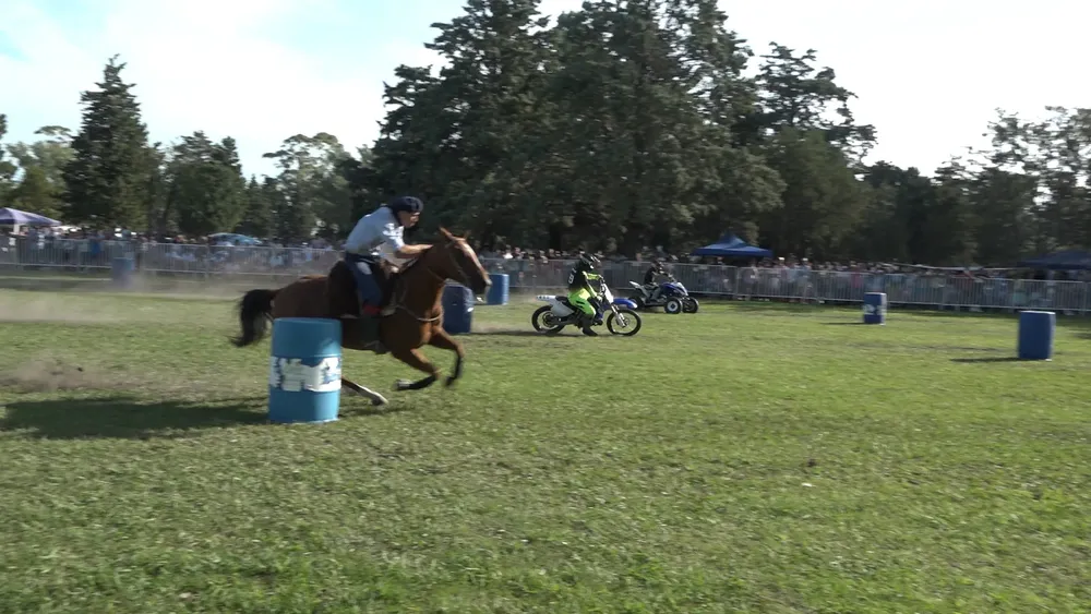 Clip0102.MXF.13_30_32_30.Imagen fija001