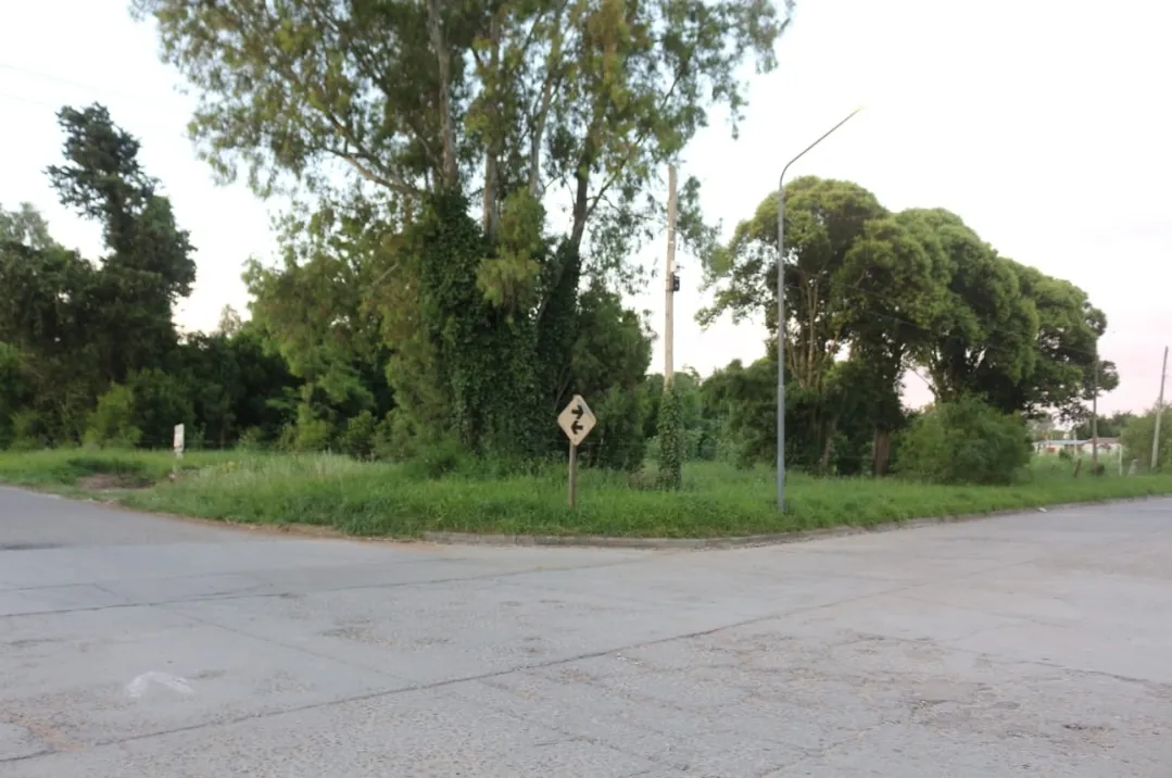 Screenshot_20251205_074030_WhatsApp