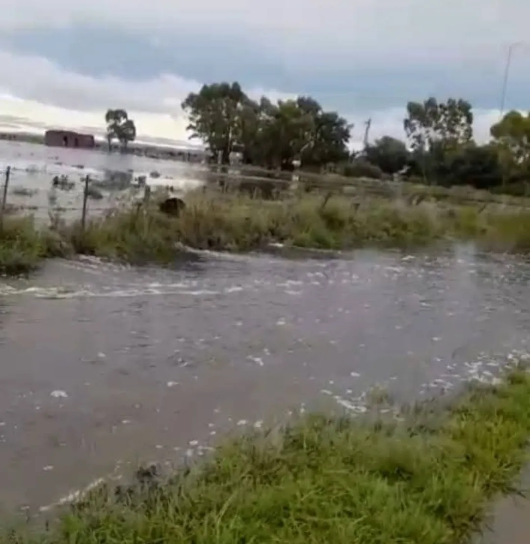 Screenshot_20250307-013209_Facebook