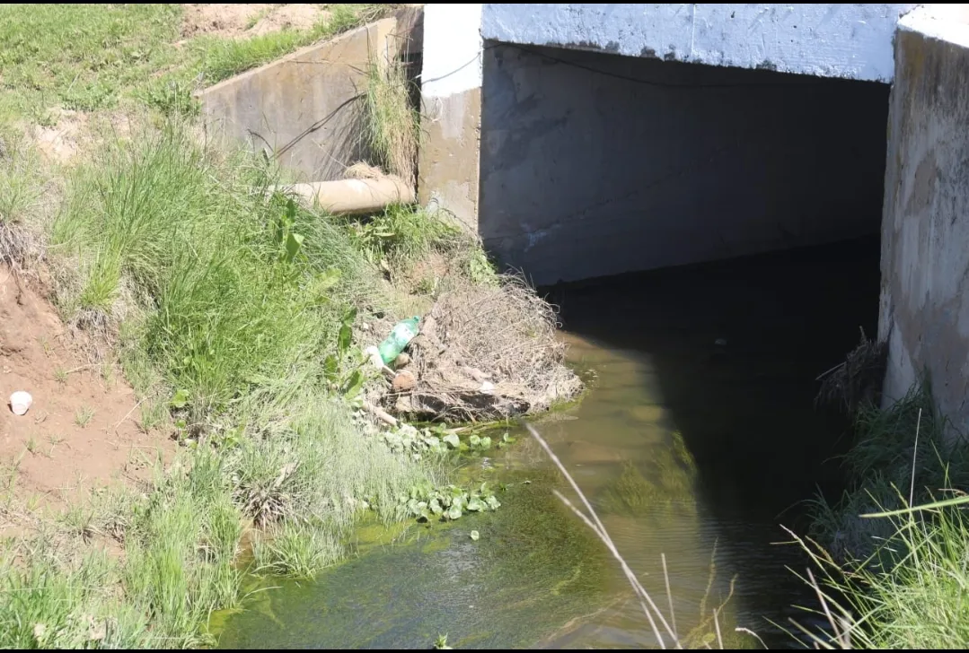 Screenshot_20251009-063000_WhatsApp