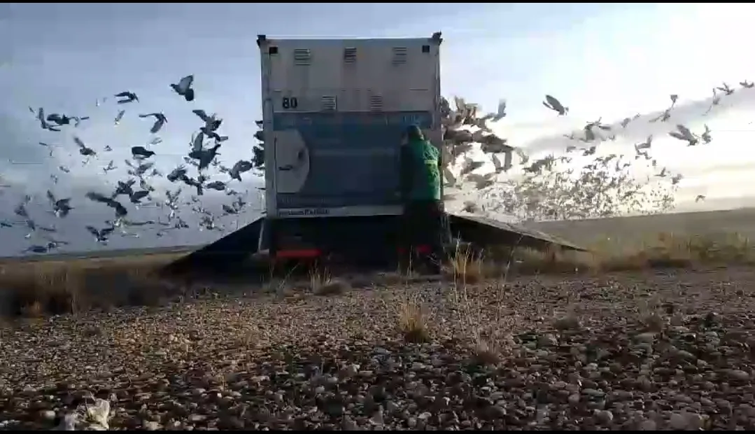 Screenshot_20250730-065937_WhatsApp