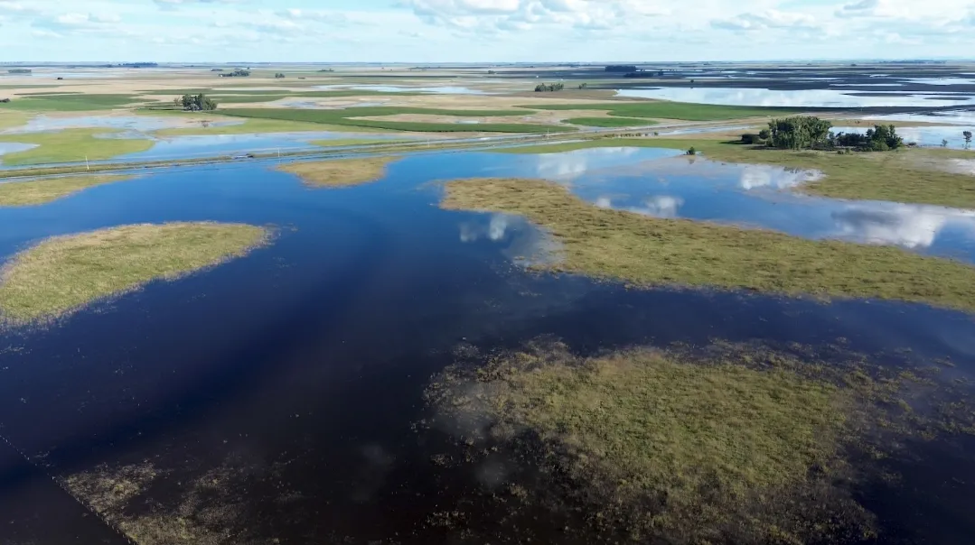 Screenshot_20251106_071544_WhatsApp