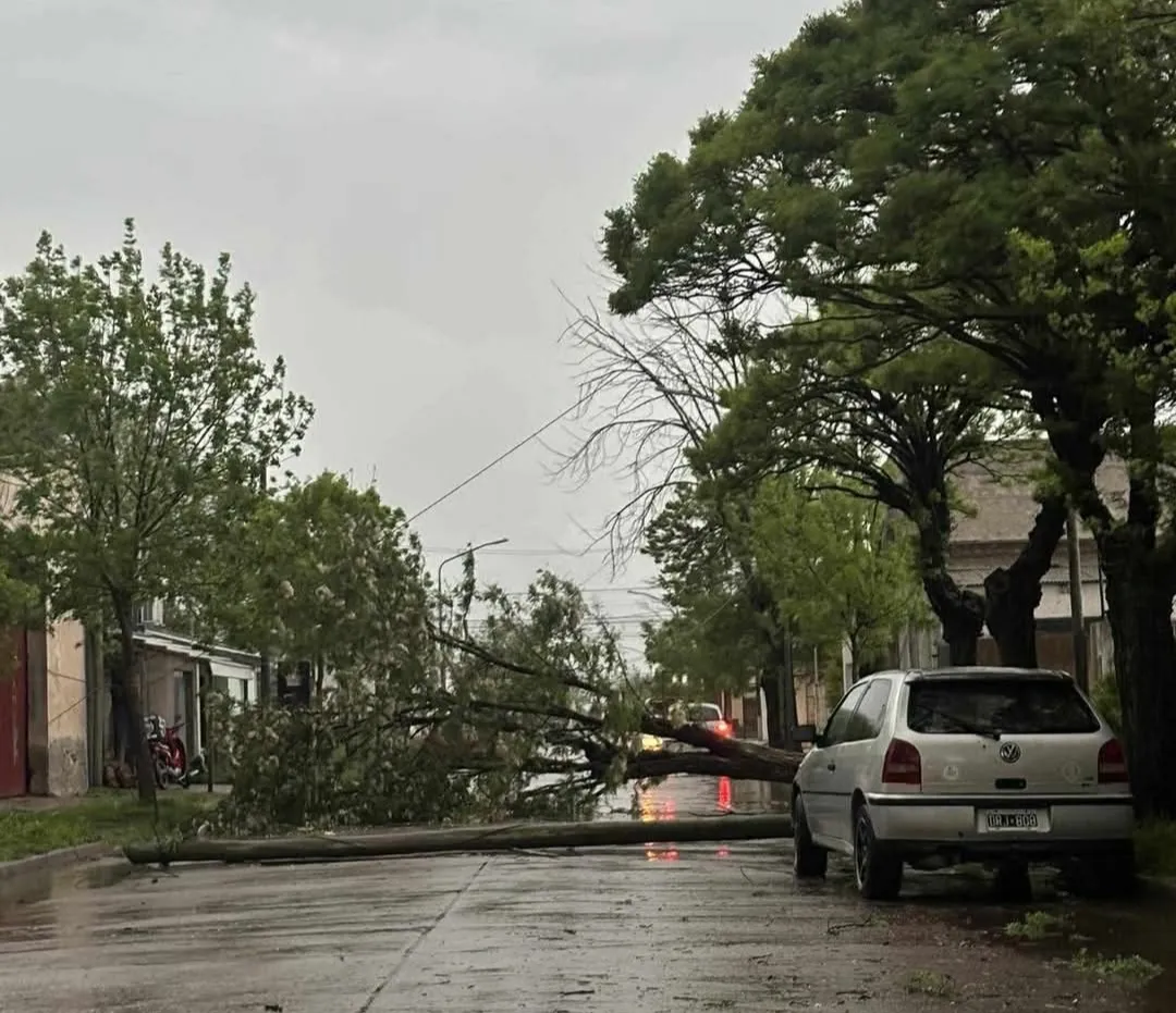 Screenshot_20251016-072457_Facebook