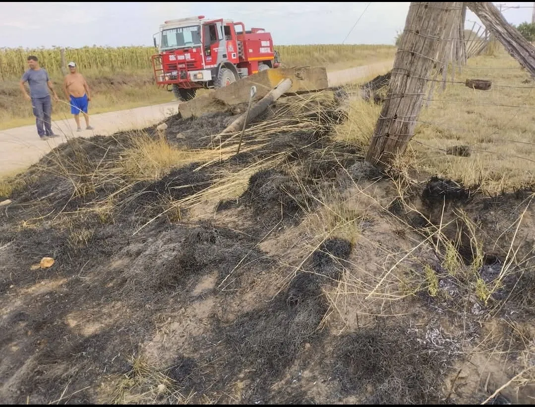 Screenshot_20250210-190847_Facebook