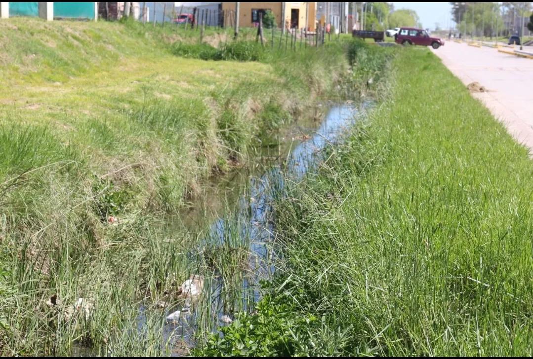 Screenshot_20251009-063019_WhatsApp