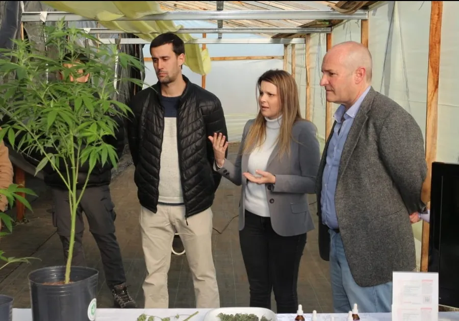 Screenshot_20240629-072742_WhatsApp