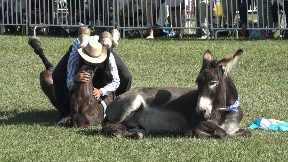 Clip0065.MXF.13_17_10_47.Imagen fija001