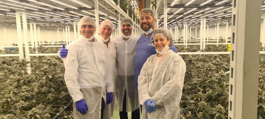 imagen nota cannabis 2