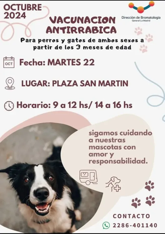 Screenshot_20241022-054056_Gmail