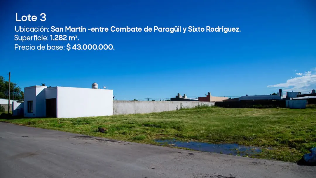 FB_IMG_1737876717007