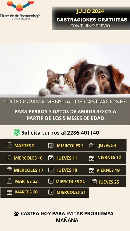 flyer castraciones (2)