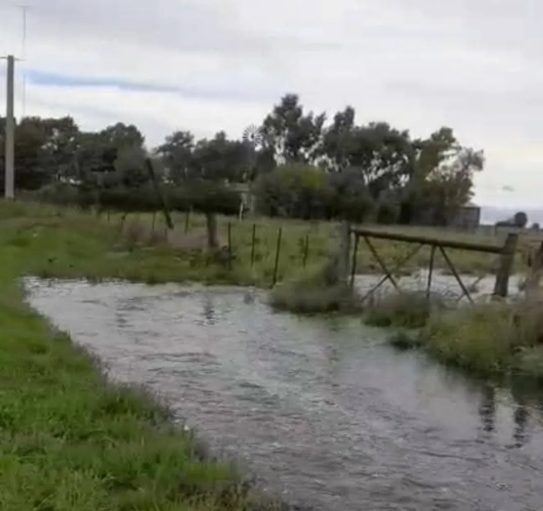 Screenshot_20250307-013227_Facebook