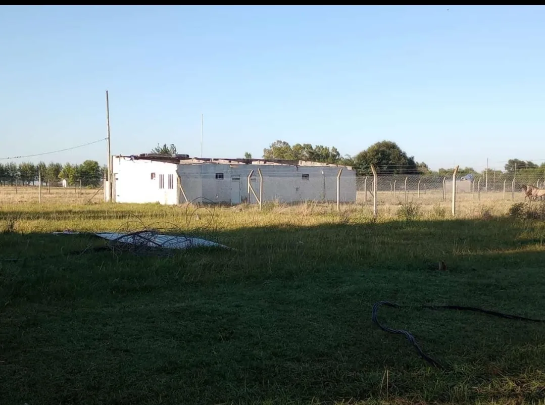 Screenshot_20250203-012228_WhatsApp