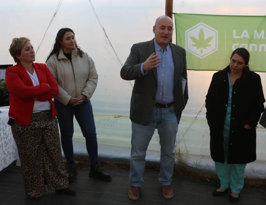 Screenshot_20240629-071825_WhatsApp