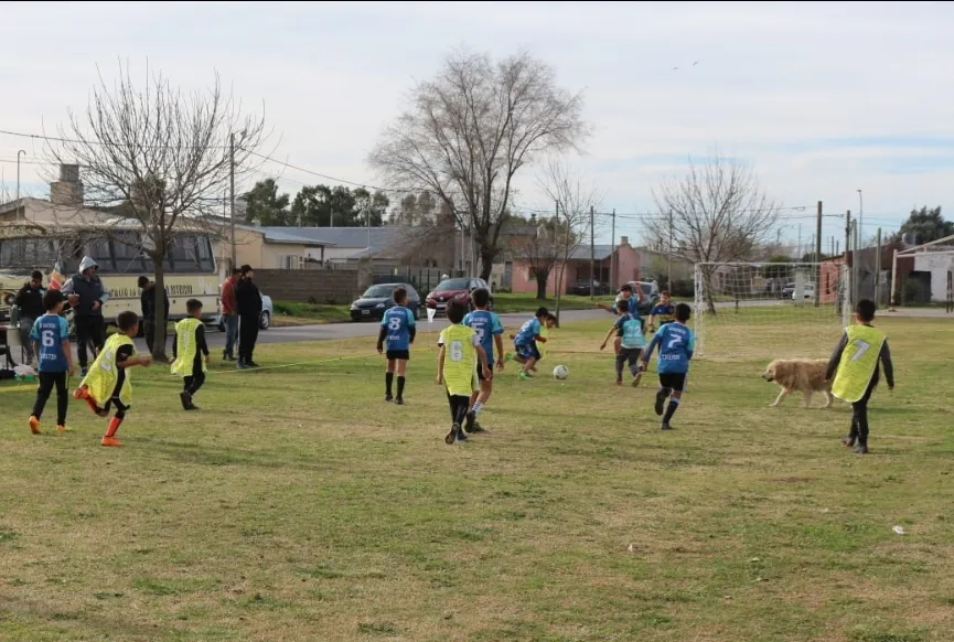 Screenshot_20240618-003229_WhatsApp