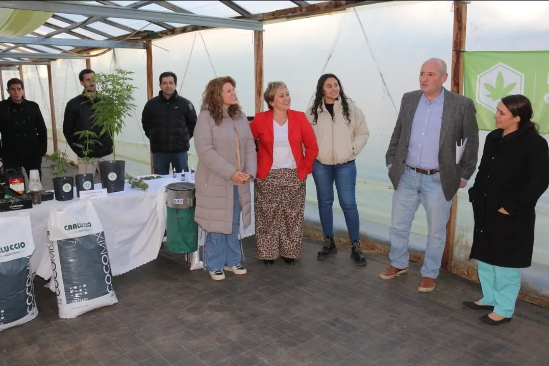 Screenshot_20240629-071837_WhatsApp