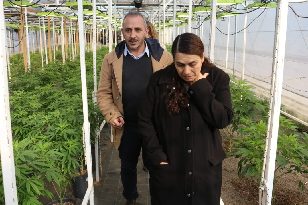 Screenshot_20240629-072459_WhatsApp