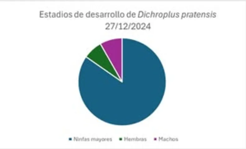 Screenshot_20250123-065458_M365 Copilot