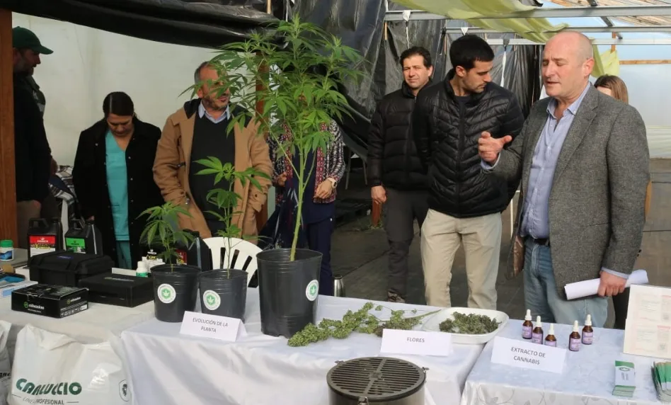 Screenshot_20240629-072711_WhatsApp