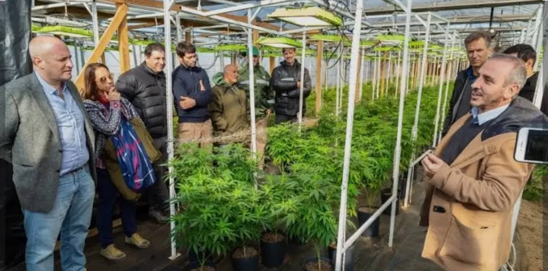 Screenshot_20250911-042738_Google