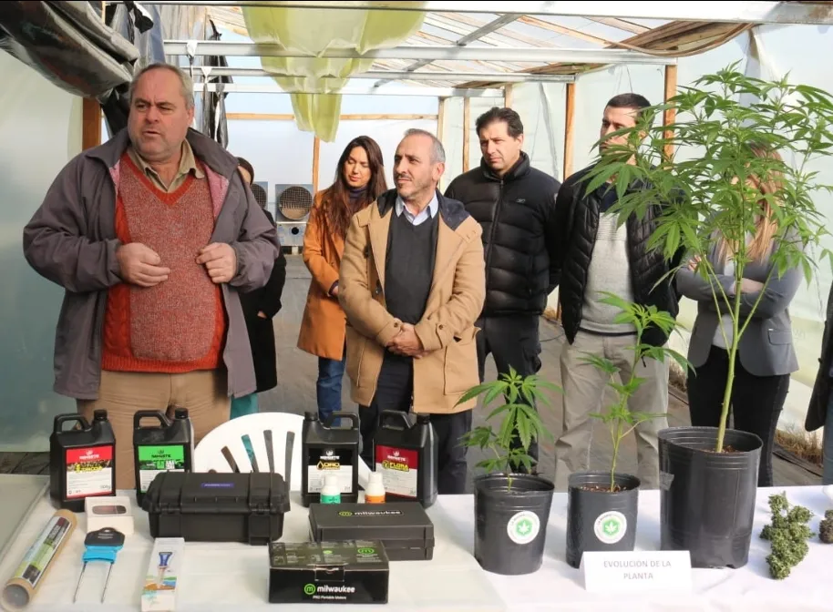 Screenshot_20240629-072634_WhatsApp