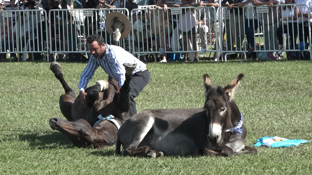 Clip0064.MXF.13_16_47_41.Imagen fija001