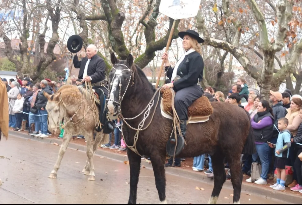 Screenshot_20250714-064835_WhatsApp