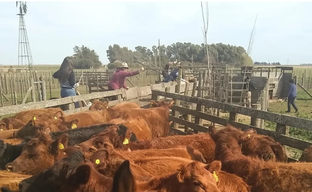 Screenshot_20250916-065955_Instagram