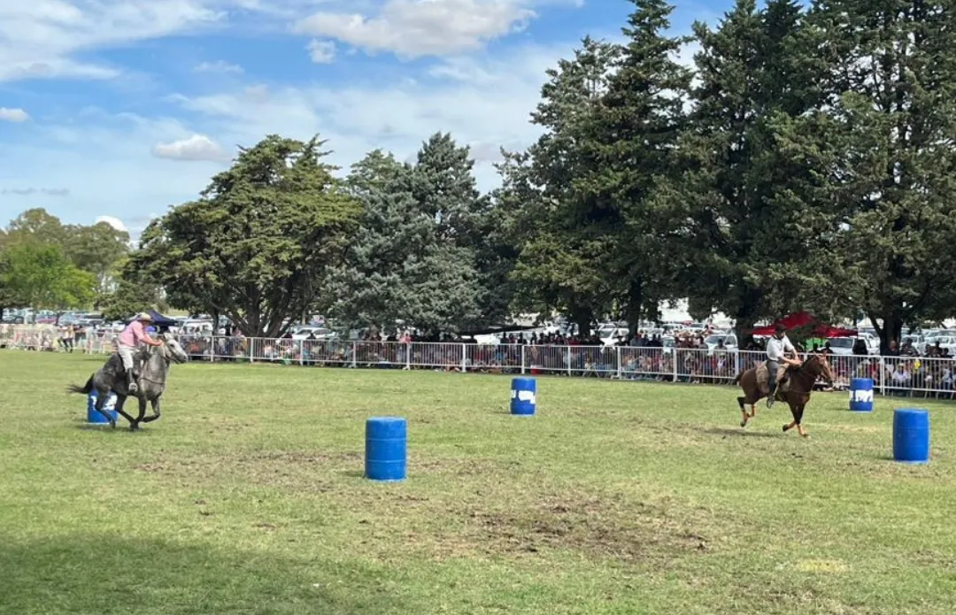 Screenshot_20260216_065232_WhatsApp