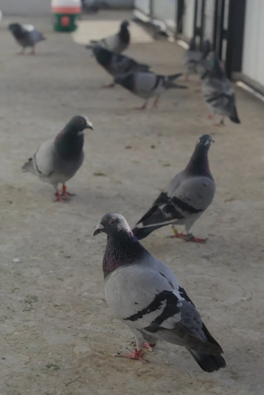 Screenshot_20241005-063218_Google