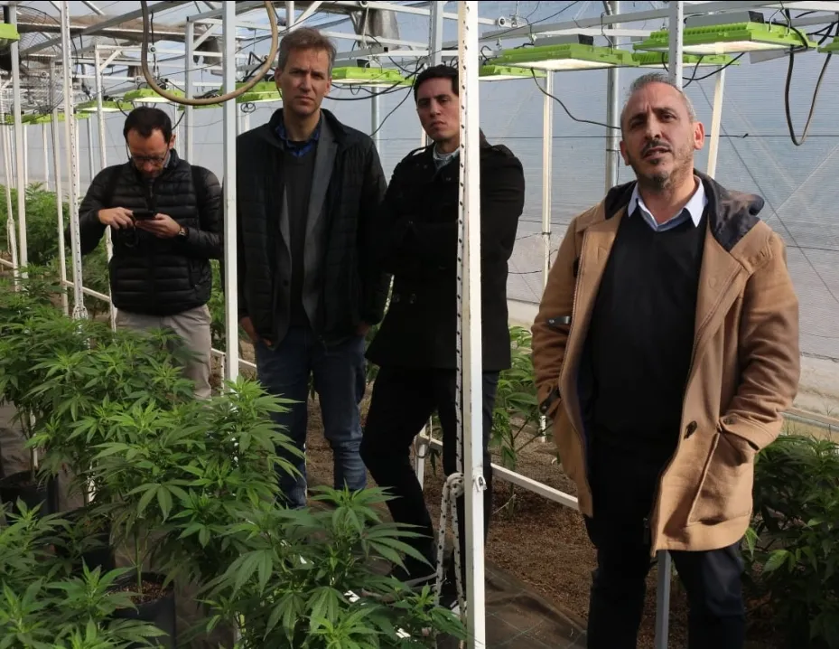 Screenshot_20240629-072425_WhatsApp