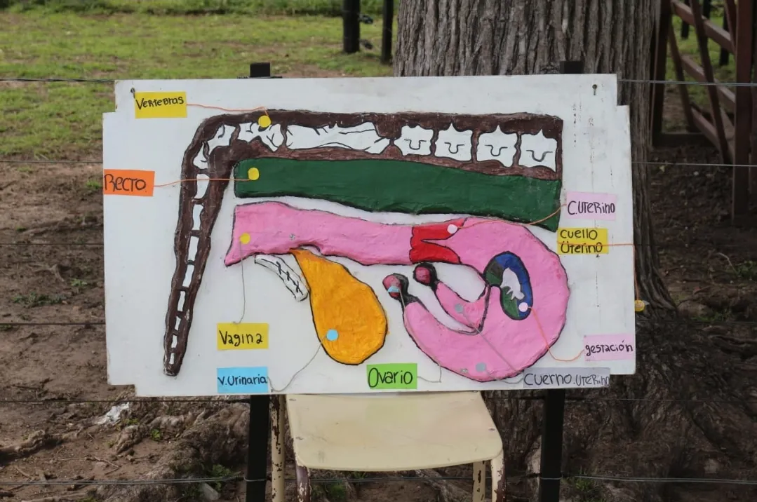 Screenshot_20251031_064654_WhatsApp