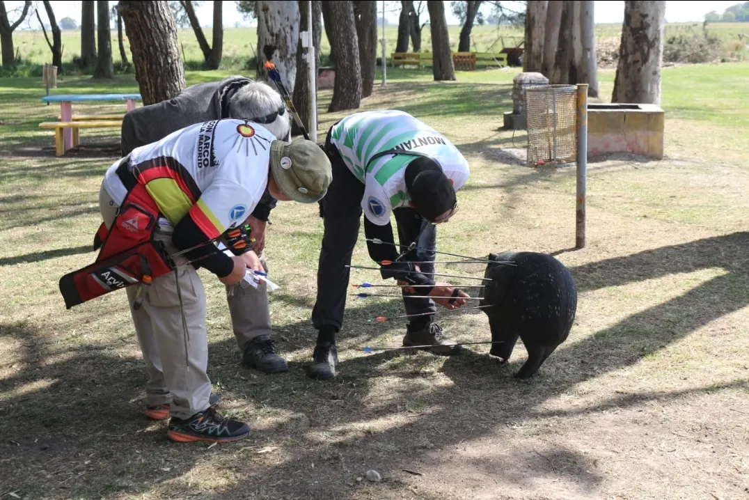 Screenshot_20241014-061941_WhatsApp