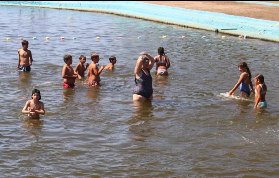 Screenshot_20240131-062823_WhatsApp