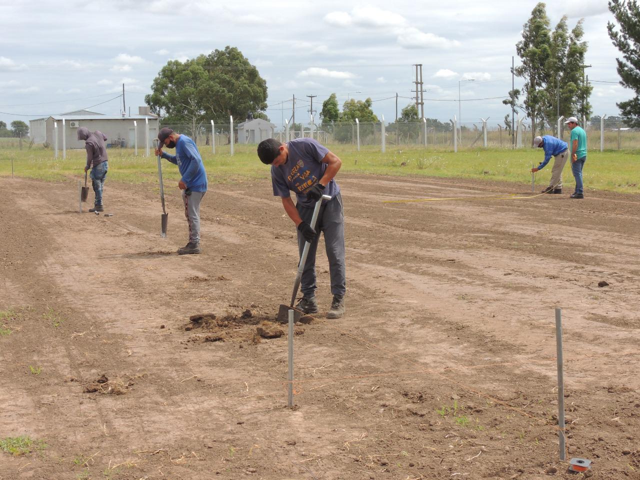 WhatsApp Image 2021-02-01 at 15.29.38