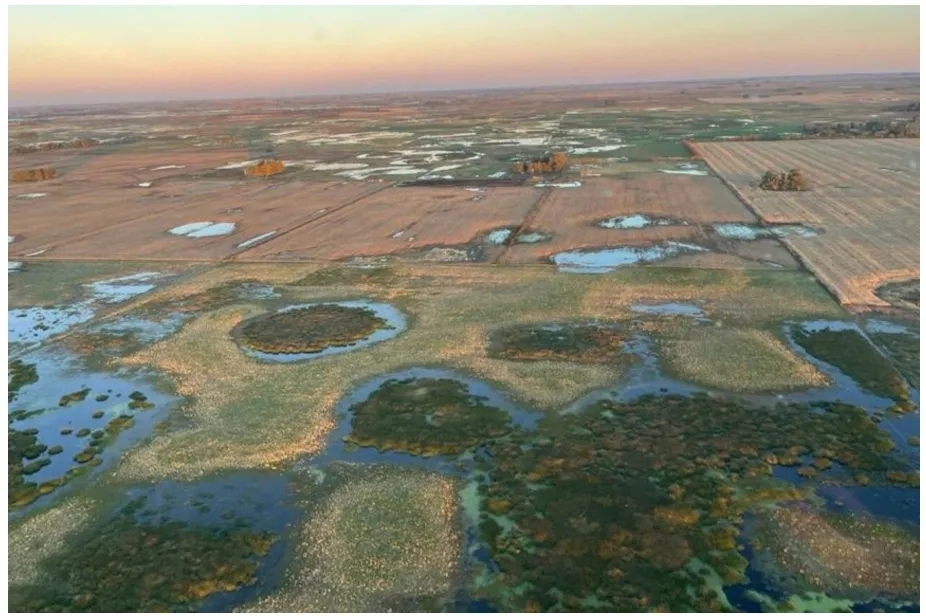 Screenshot_20250421-072735_M365 Copilot