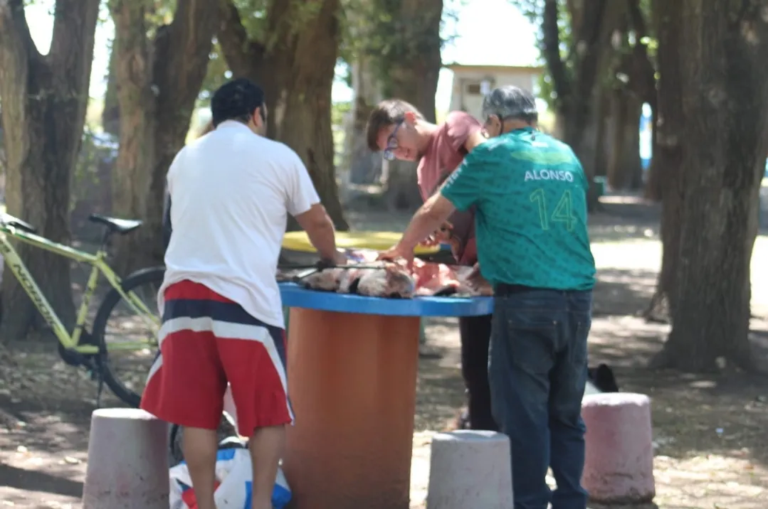 Screenshot_20260119_071531_WhatsApp