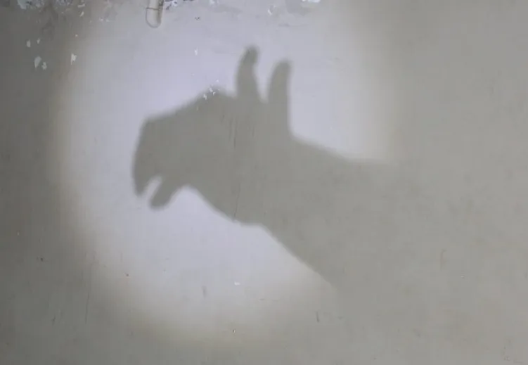 Screenshot_20250727-070743_WhatsApp