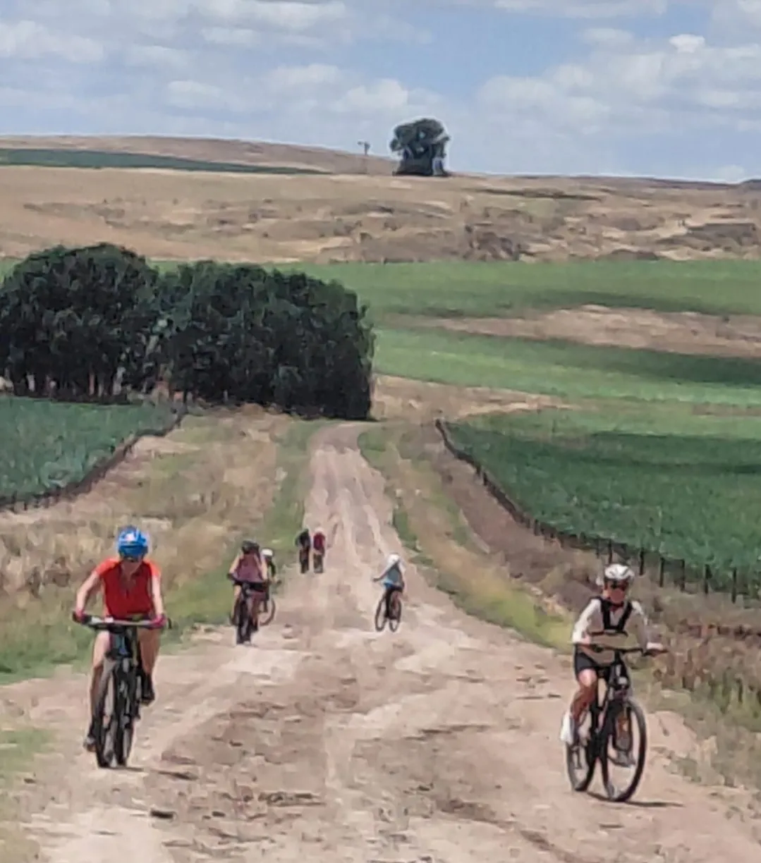 Screenshot_20260119_070709_WhatsApp