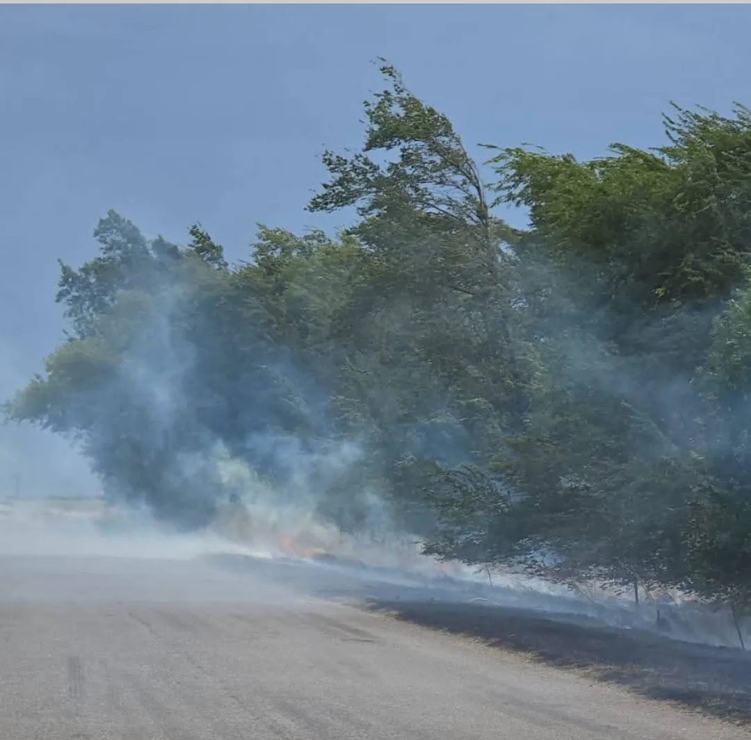 Screenshot_20250221-064041_Facebook