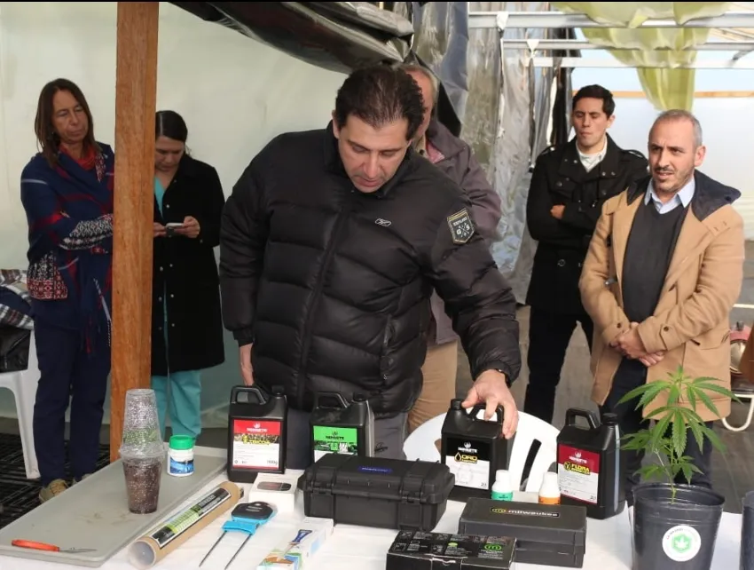 Screenshot_20240629-072537_WhatsApp