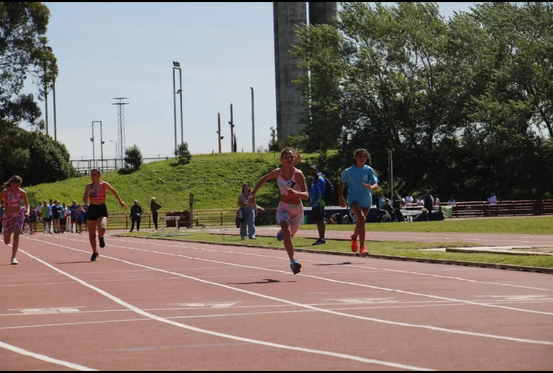 Screenshot_20251015-064924_WhatsApp