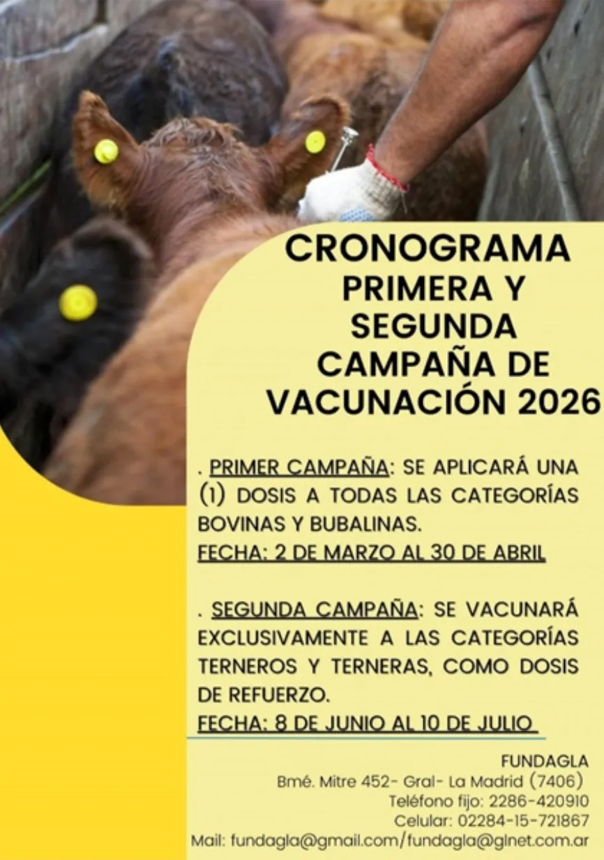 Screenshot_20260205_070517_Docs