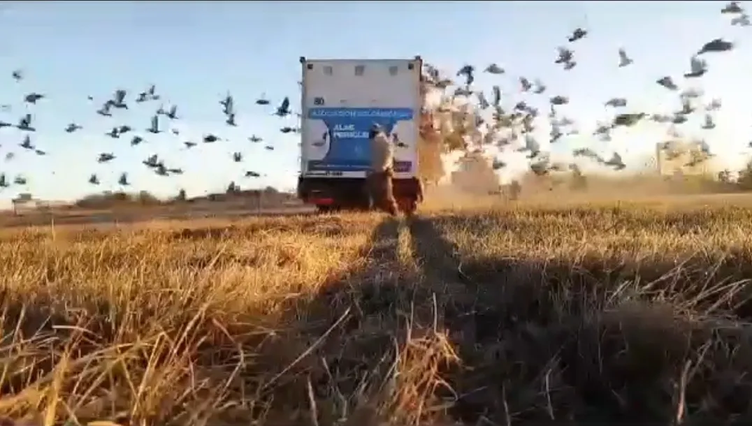 Screenshot_20240707-234214_Facebook